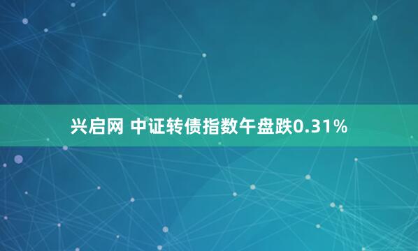 兴启网 中证转债指数午盘跌0.31%