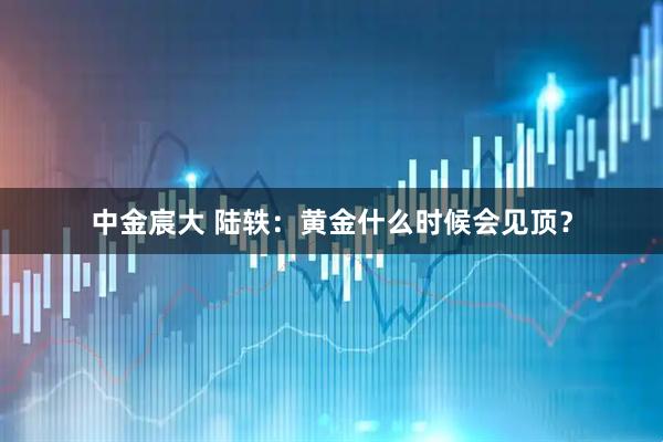 中金宸大 陆轶：黄金什么时候会见顶？