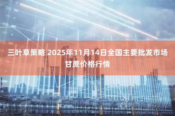 三叶草策略 2025年11月14日全国主要批发市场甘蔗价格行情