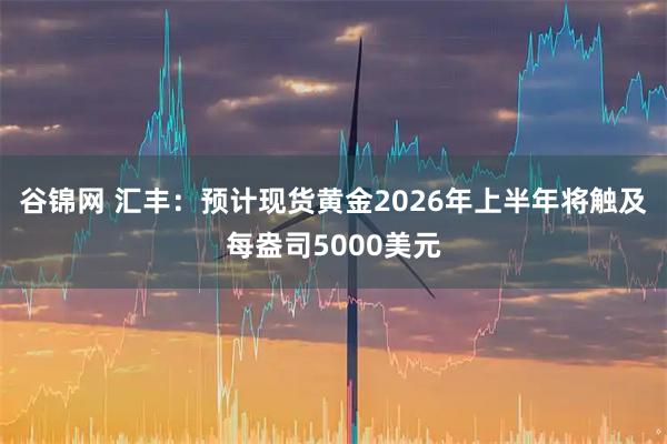 谷锦网 汇丰：预计现货黄金2026年上半年将触及每盎司5000美元