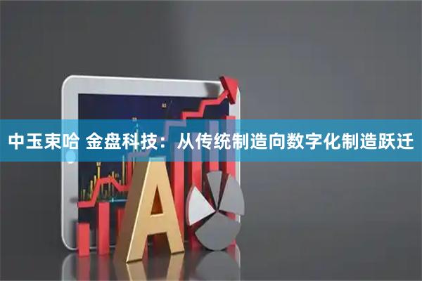 中玉束哈 金盘科技：从传统制造向数字化制造跃迁